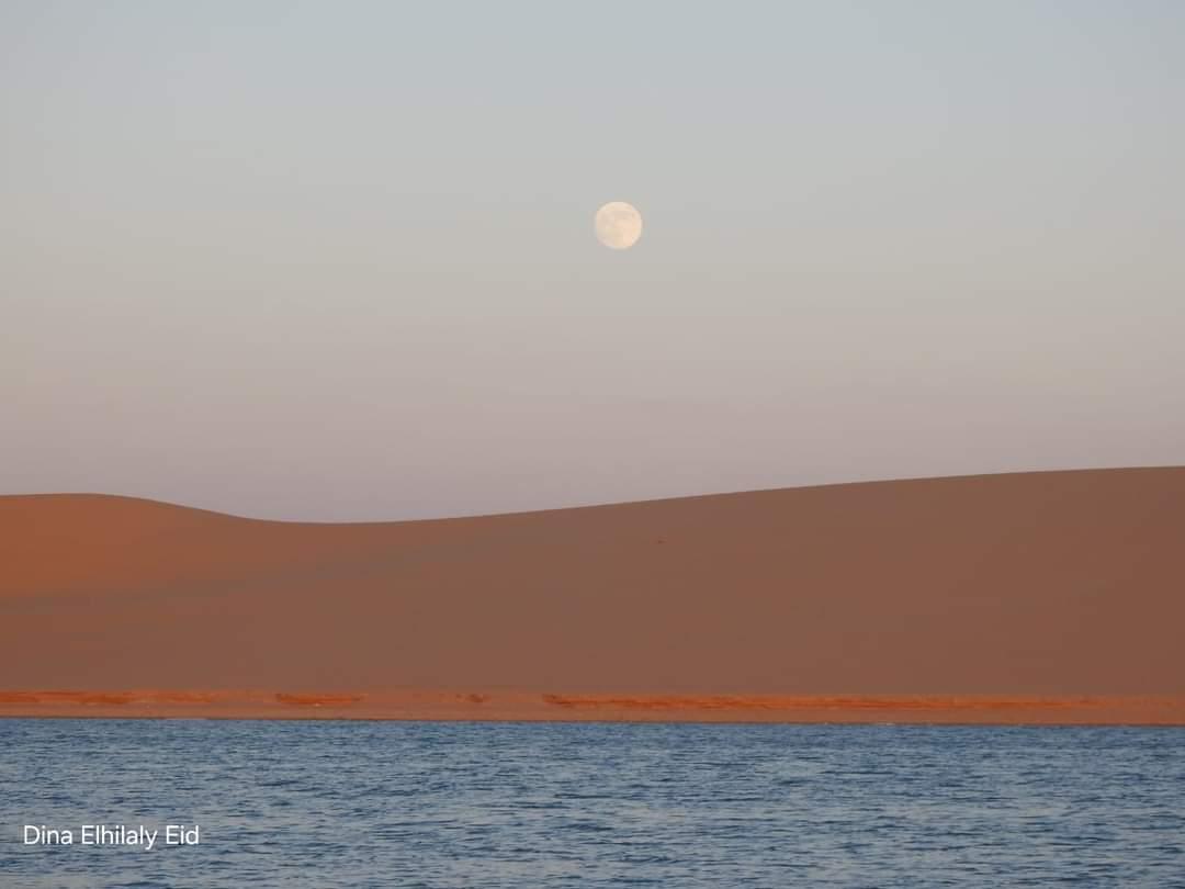 A Lakefront Villa in the Heart of Fayoum 19
