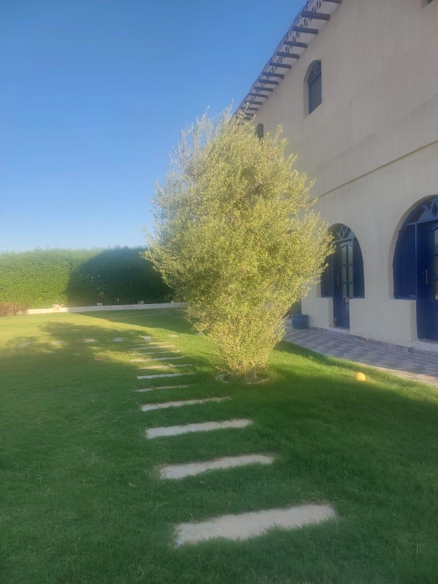 A Lakefront Villa in the Heart of Fayoum 21